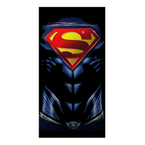 Superman Suit